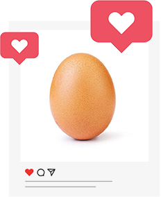 Insta egg