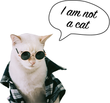 I am not a cat